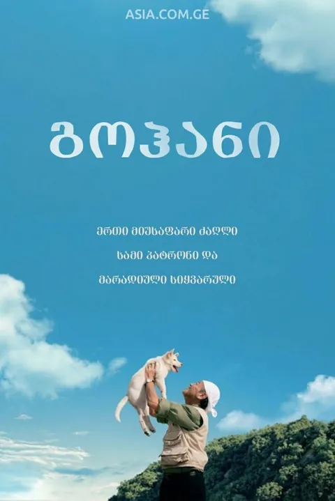 გოჰანი